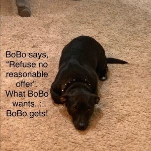 Meet your Posher, CoutureNCoffee